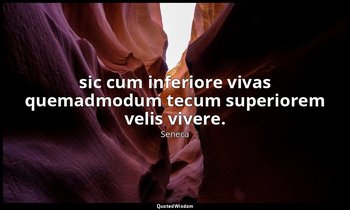 sic cum inferiore vivas quemadmodum tecum superiorem velis vivere. — Seneca