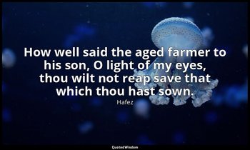 How well said the aged farmer to his son, O light of my eyes, thou wilt not reap — Hafez