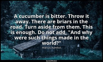 A cucumber is bitter. Throw it away. There are briars in the road. Turn aside fr — Marcus Aurelius