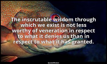 The inscrutable wisdom through which we exist is not less worthy of veneration i — Immanuel Kant