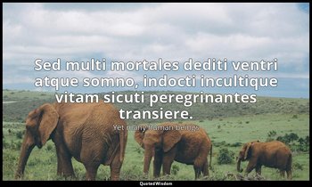 Sed multi mortales dediti ventri atque somno, indocti incultique vitam sicuti pe — Yet many human beings