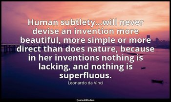 Human subtlety...will never devise an invention more beautiful, more simple or m — Leonardo da Vinci