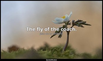 The fly of the coach. — Jean de La Fontaine