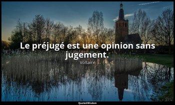 Le préjugé est une opinion sans jugement. — Voltaire