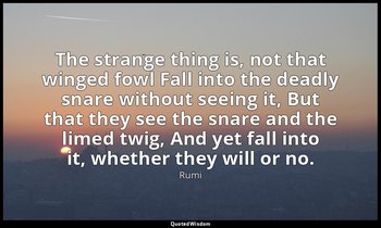 The strange thing is, not that winged fowl Fall into the deadly snare without se — Rumi