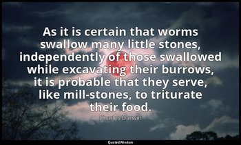 As it is certain that worms swallow many little stones, independently of those s — Charles Darwin