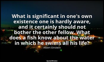 What is significant in one's own existence one is hardly aware, and it certainly — Albert Einstein
