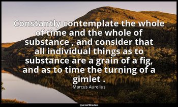 Constantly contemplate the whole of time and the whole of substance , and consid — Marcus Aurelius