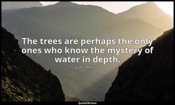 The trees are perhaps the only ones who know the mystery of water in depth. — Jules Renard