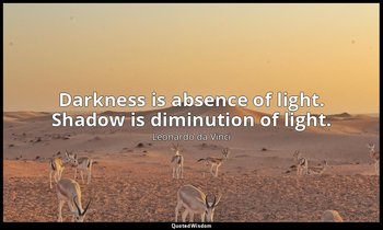 Darkness is absence of light. Shadow is diminution of light. — Leonardo da Vinci