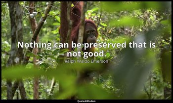 Nothing can be preserved that is not good. — Ralph Waldo Emerson
