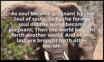 As soul became pregnant by the Soul of souls, So by the former soul did the worl — Rumi