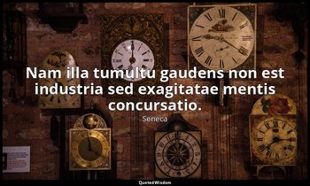 Nam illa tumultu gaudens non est industria sed exagitatae mentis concursatio. — Seneca