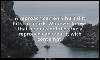A reproach can only hurt if it hits the mark. Whoever knows that he does not des — Arthur Schopenhauer