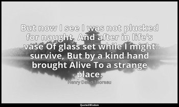 But now I see I was not plucked for naught, And after in life's vase Of glass se — Henry David Thoreau