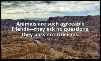 Animals are such agreeable friends—they ask no questions, they pass no criticism — George Eliot