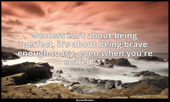 Success isn't about being perfect, it's about being brave enough to try, even wh — Nadine Aguilar