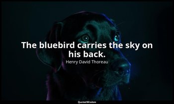The bluebird carries the sky on his back. — Henry David Thoreau