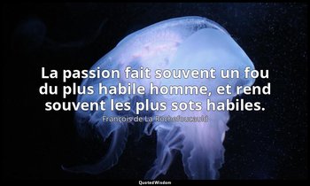 La passion fait souvent un fou du plus habile homme, et rend souvent les plus so — François de La Rochefoucauld