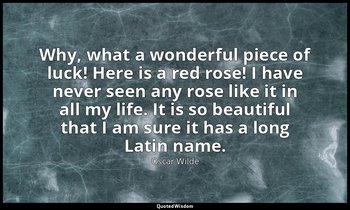 Why, what a wonderful piece of luck! Here is a red rose! I have never seen any r — Oscar Wilde