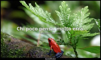 Chi poco pensa, molto erra. — Leonardo da Vinci