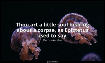 Thou art a little soul bearing about a corpse, as Epictetus used to say. — Marcus Aurelius