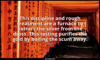 This discipline and rough treatment are a furnace to extract the silver from the — Rumi
