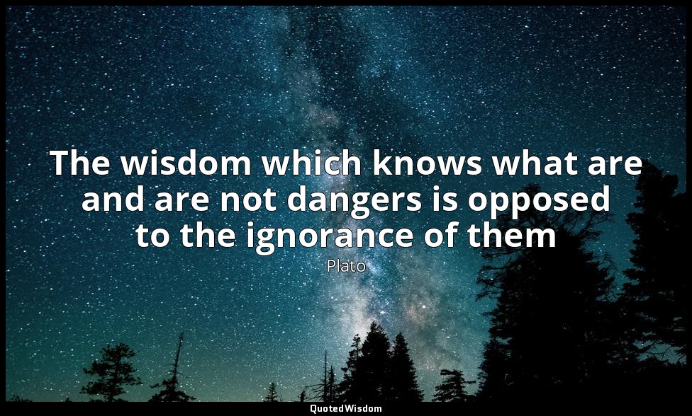 The wisdom which knows what are and are not dangers is opposed to the ignorance  — Plato