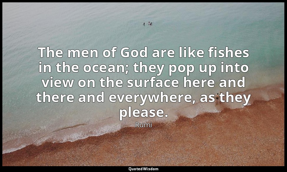 The men of God are like fishes in the ocean; they pop up into view on the surfac — Rumi