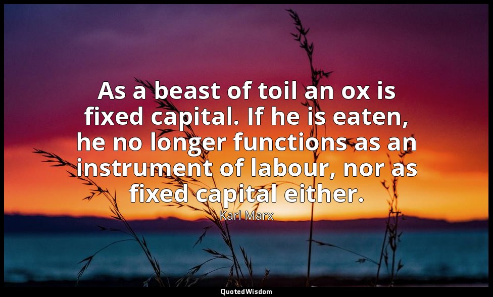 As a beast of toil an ox is fixed capital. If he is eaten, he no longer function — Karl Marx