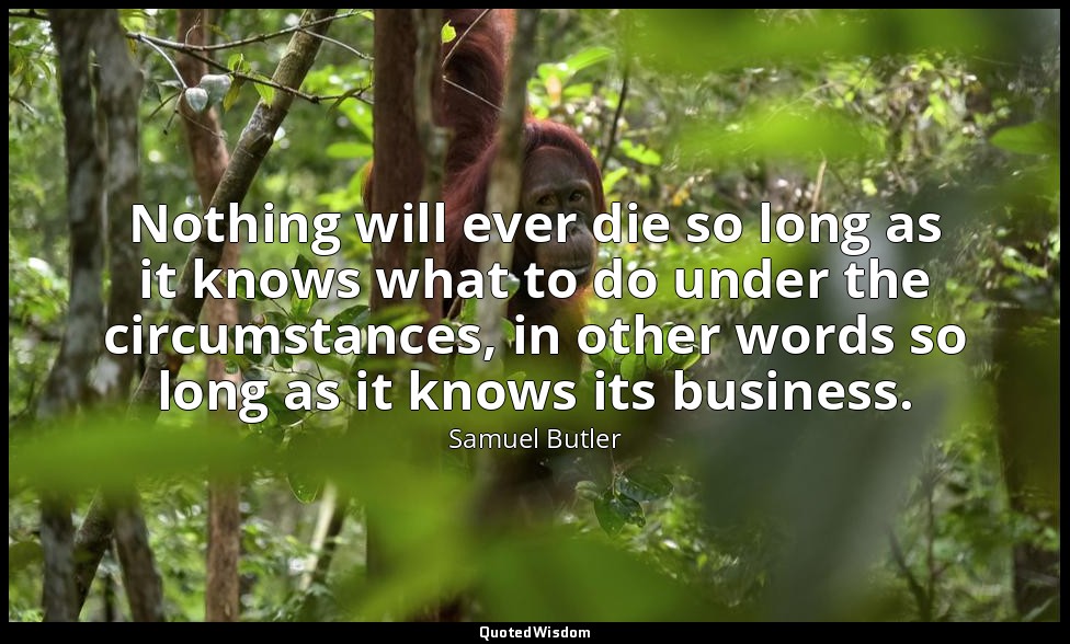 Nothing will ever die so long as it knows what to do under the circumstances, in — Samuel Butler