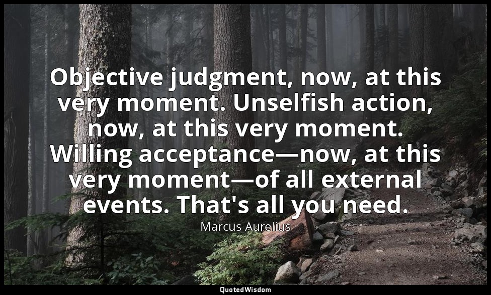Objective judgment, now, at this very moment. Unselfish action, now, at this ver — Marcus Aurelius