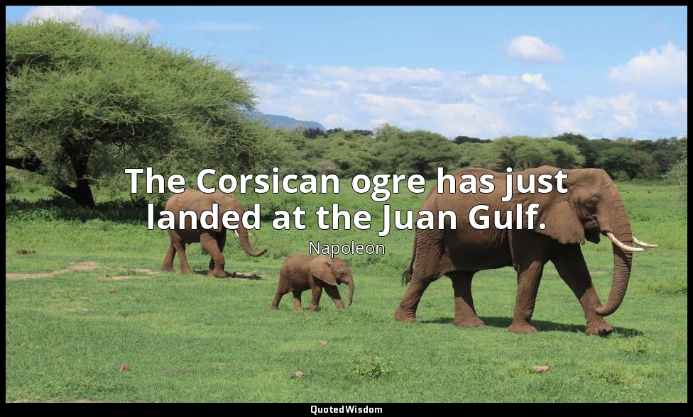 The Corsican ogre has just landed at the Juan Gulf. — Napoleon