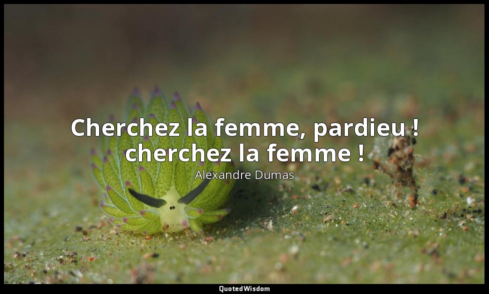 Cherchez la femme, pardieu ! cherchez la femme ! — Alexandre Dumas