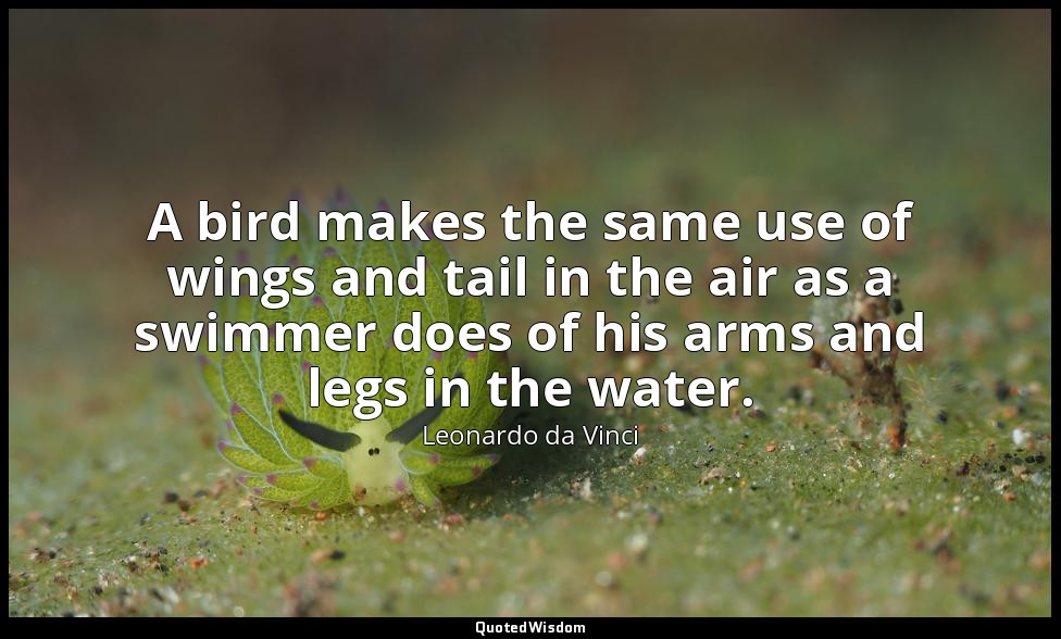 A bird makes the same use of wings and tail in the air as a swimmer does of his  — Leonardo da Vinci