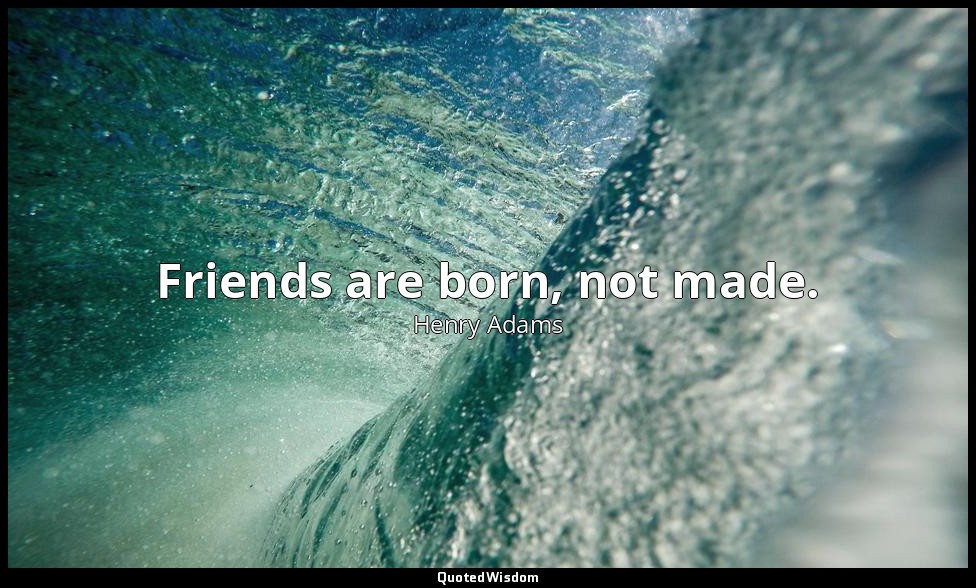 Friends are born, not made. — Henry Adams