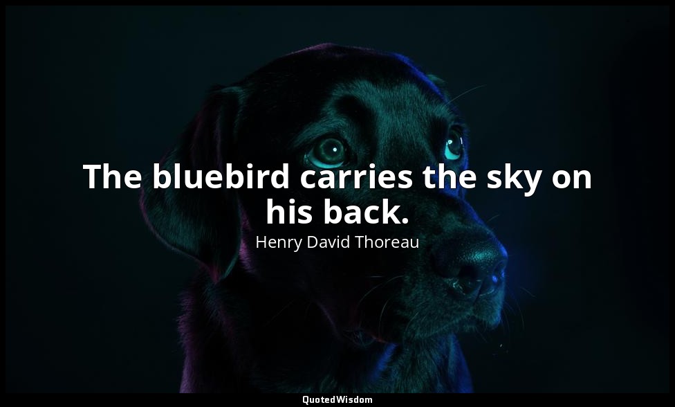 The bluebird carries the sky on his back. — Henry David Thoreau