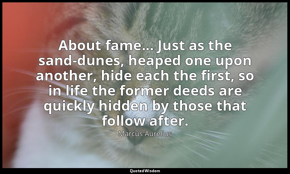 About fame... Just as the sand-dunes, heaped one upon another, hide each the fir — Marcus Aurelius
