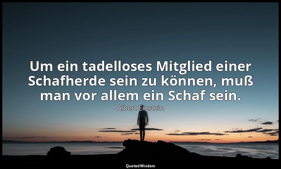 Um ein tadelloses Mitglied einer Schafherde sein zu können, muß man vor allem ei — Albert Einstein