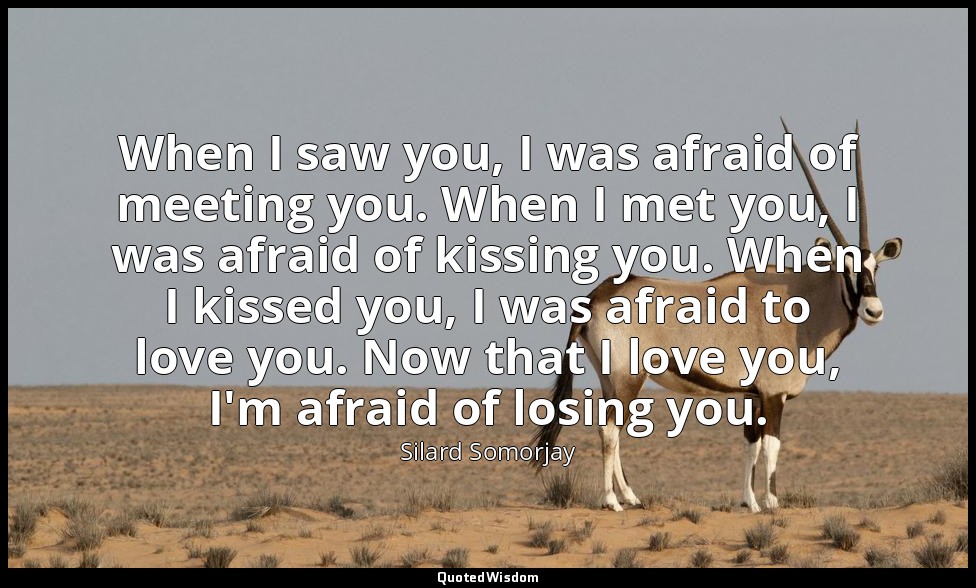 When I saw you, I was afraid of meeting you. When I met you, I was afraid of kis — Silard Somorjay