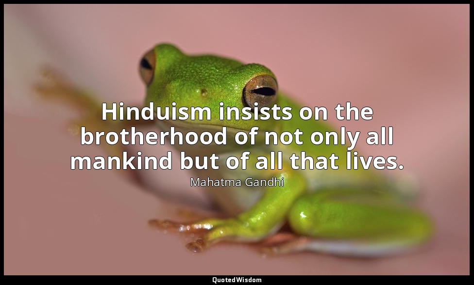 Hinduism insists on the brotherhood of not only all mankind but of all that live — Mahatma Gandhi