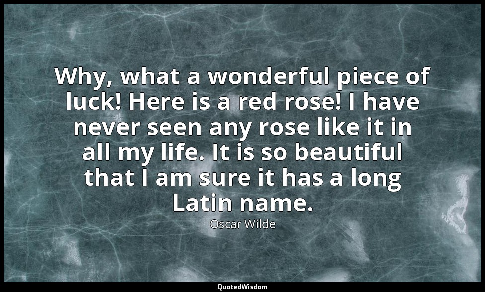 Why, what a wonderful piece of luck! Here is a red rose! I have never seen any r — Oscar Wilde