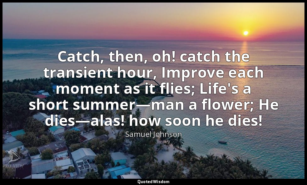 Catch, then, oh! catch the transient hour, Improve each moment as it flies; Life — Samuel Johnson