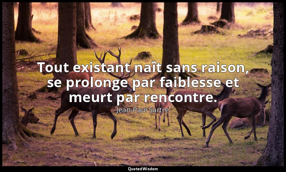 Tout existant naît sans raison, se prolonge par faiblesse et meurt par rencontre — Jean-Paul Sartre