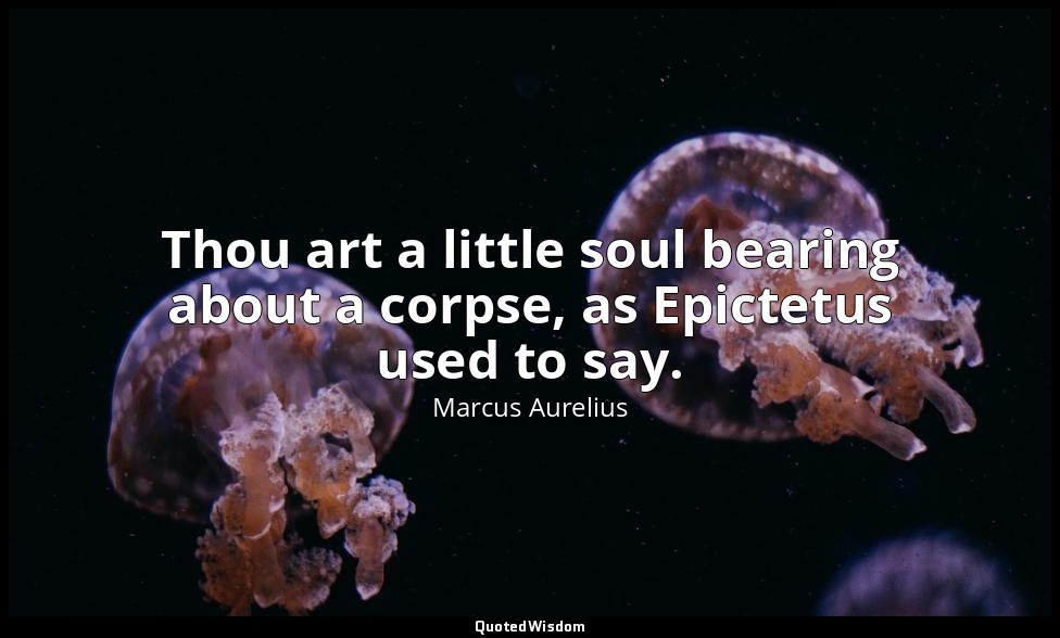 Thou art a little soul bearing about a corpse, as Epictetus used to say. — Marcus Aurelius