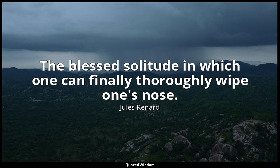 The blessed solitude in which one can finally thoroughly wipe one's nose. — Jules Renard