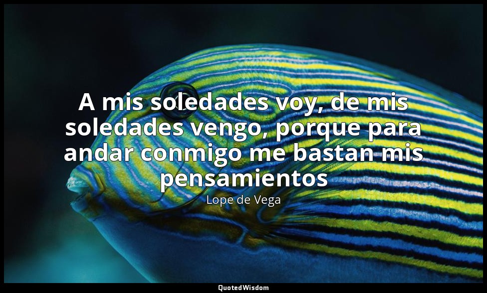 A mis soledades voy, de mis soledades vengo, porque para andar conmigo me bastan — Lope de Vega