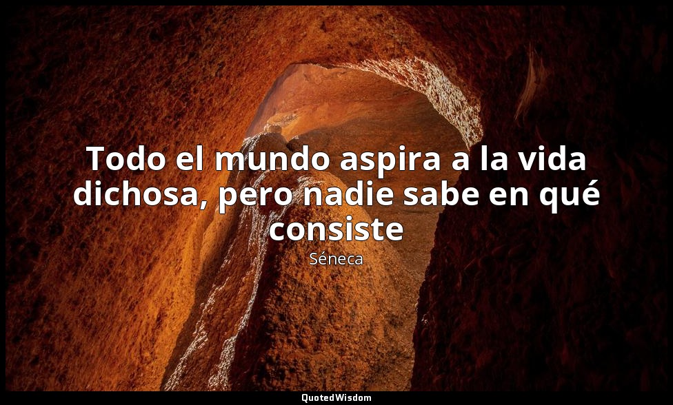 Todo el mundo aspira a la vida dichosa, pero nadie sabe en qué consiste — Séneca