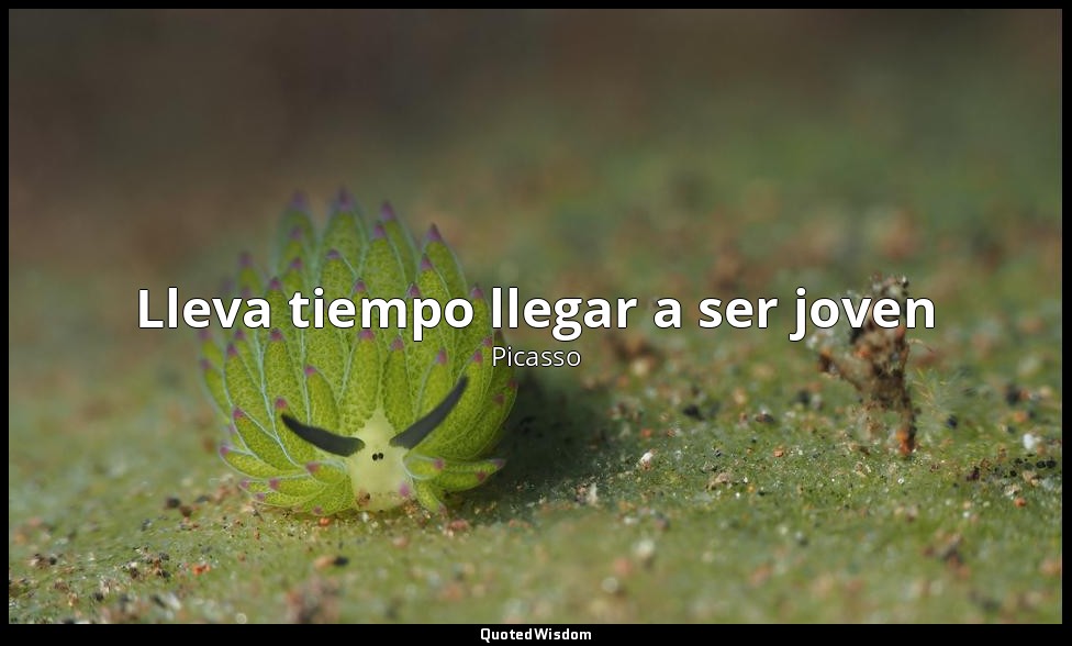 Lleva tiempo llegar a ser joven — Picasso