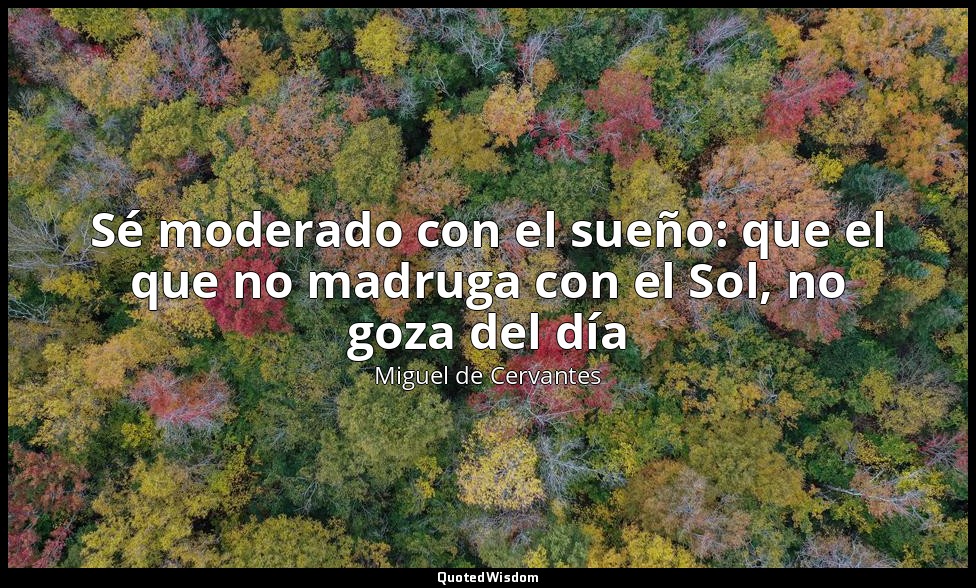 Sé moderado con el sueño: que el que no madruga con el Sol, no goza del día — Miguel de Cervantes